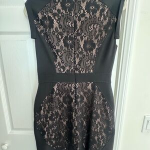 Adrianna Papell Black and Nude Lace Dress